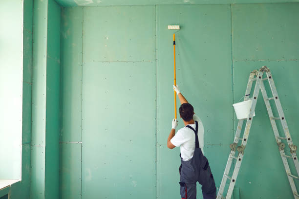 Best Basement Mold Removal  in Helena Valley Northwest, MT