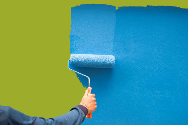 Trusted Helena Valley Northwest, MT Mold Removal Experts